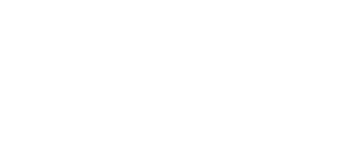 Luiza Lima Zehnle